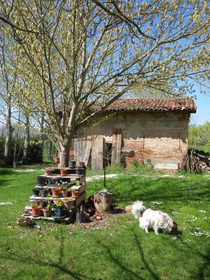 Il Boschetto Di Morgana Bed & Breakfast Castel San Pietro Terme Dış mekan fotoğraf