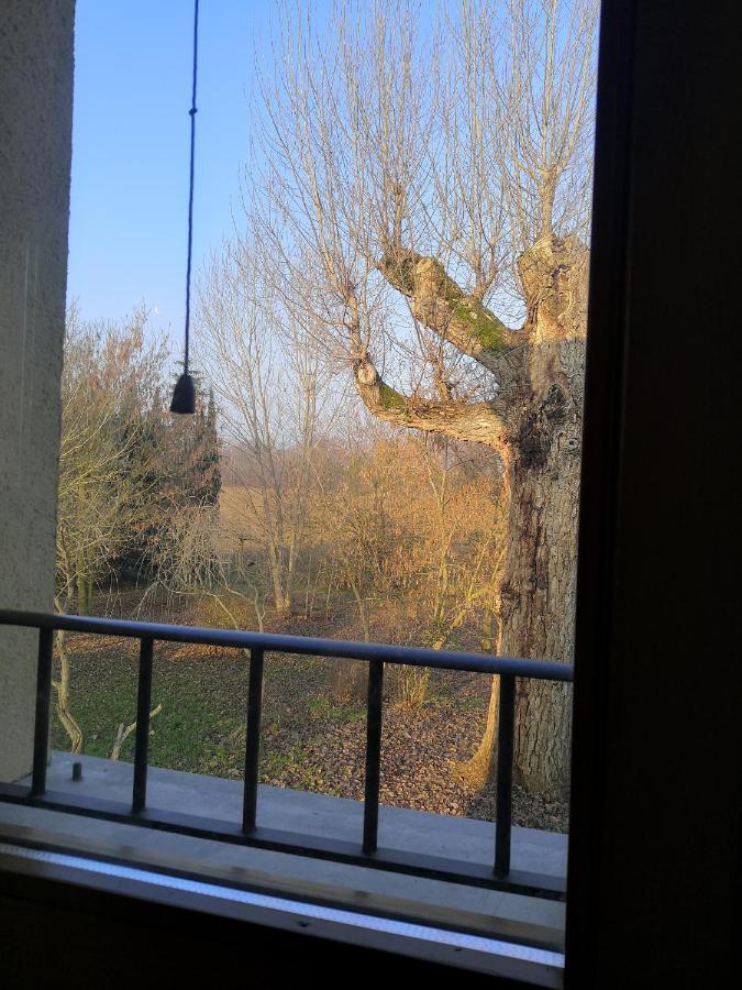 Il Boschetto Di Morgana Bed & Breakfast Castel San Pietro Terme Dış mekan fotoğraf
